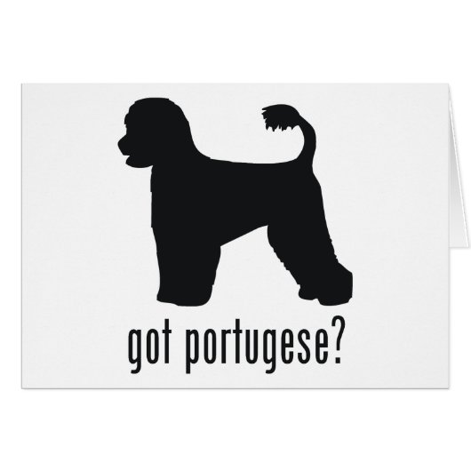 Portugese Water Dog (Front Horizontal)