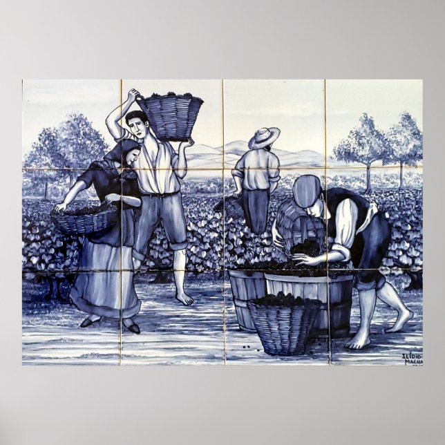 Portuguese Blue Tile Poster Grape Harvest :Azulejo (Front)
