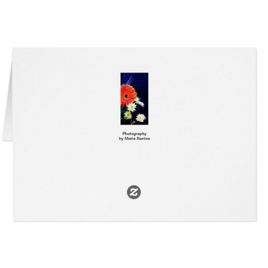 Portuguese: Feliz Aniversario Mae! (Back Horizontal)