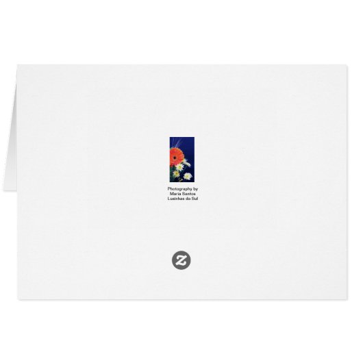 Portuguese: Feliz Aniversario! roses beije colors (Back Horizontal)