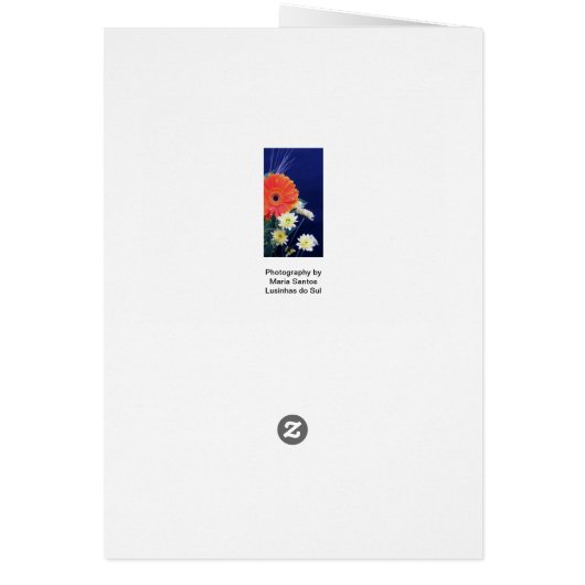 Portuguese: Feliz Dia! (Back)