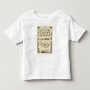 Portuguese Islands in the Atlantic Ocean Toddler T-shirt