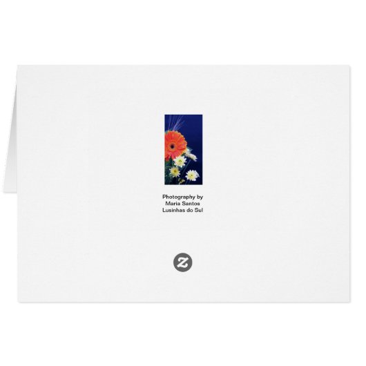 Portuguese: Love poem São Valentim (Back Horizontal)