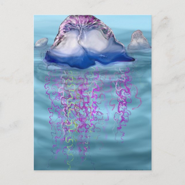 Portuguese man-of-war postcard (Front)