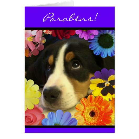 Portuguese: Parabens cachorrinho Cards (Front)