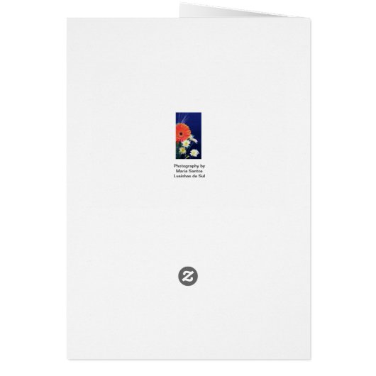 Portuguese: Parabens! -rosas (Back)