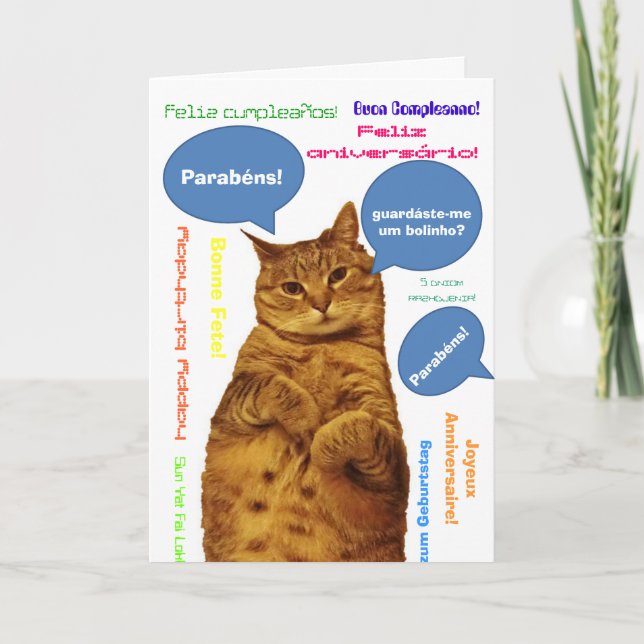 Portuguese: Parabens! silly cat Card (Front)