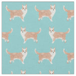 portuguese podengo pequeno dog simple light blue fabric