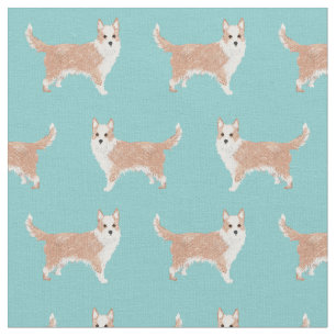 portuguese podengo pequeno dog simple light blue fabric