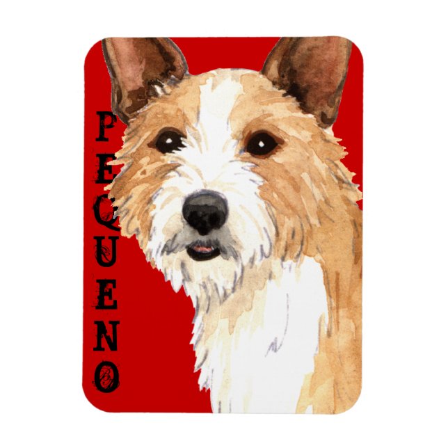 Portuguese Podengo Pequeno Magnet (Vertical)
