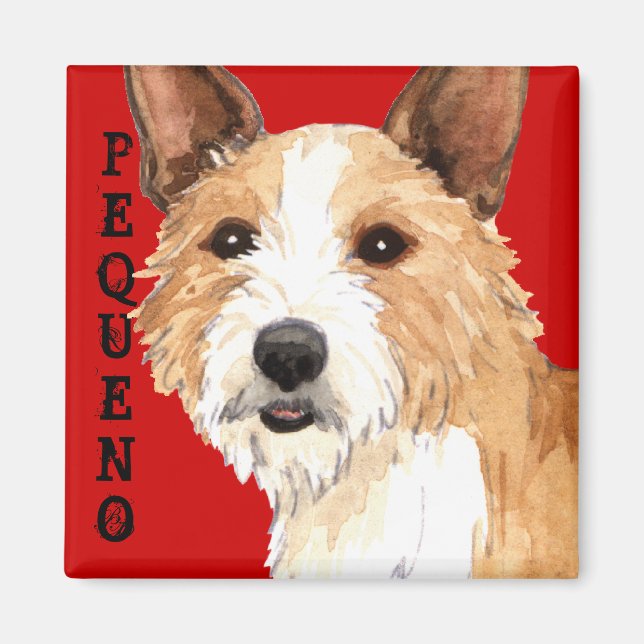 Portuguese Podengo Pequeno Magnet (Front)