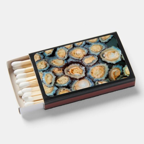 Portuguese seafood matchboxes