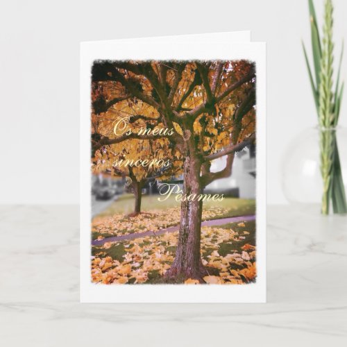 Portuguese sympathy cardcondolencias Fall Tree Card