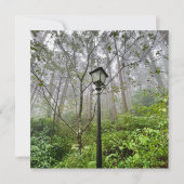 Portuguese vibes (Front)