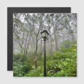 Portuguese vibes (Front/Back)