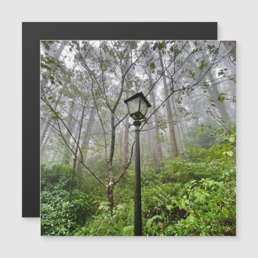 Portuguese vibes (Front/Back)