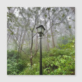 Portuguese vibes (Front)