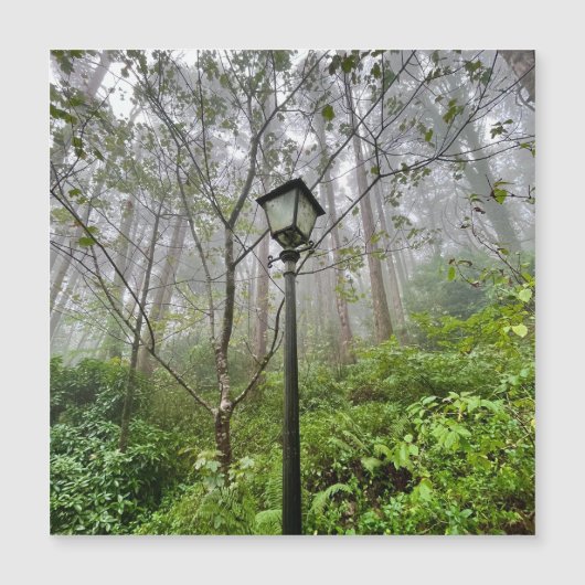 Portuguese vibes (Front)