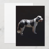 Portuguese Water Dog (Front/Back)