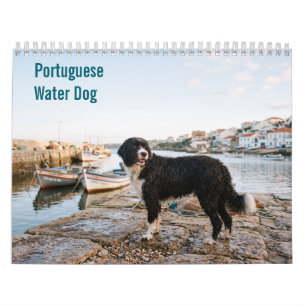 Portuguese Water Dog 2027 Wall calendar