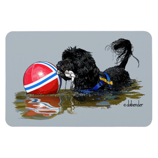 Portuguese Water Dog 2 with Buoy Ball Magnet (Horizontal)