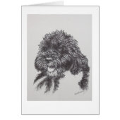 Portuguese Water Dog Bo Obama (Front)