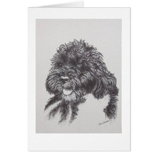 Portuguese Water Dog Bo Obama (Front)