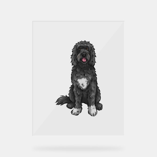 Portuguese Water Dog  Cute Dog Art  Acrylic Sign (Front)