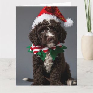 Portuguese Water Dog Elf Puppy Christmas Card