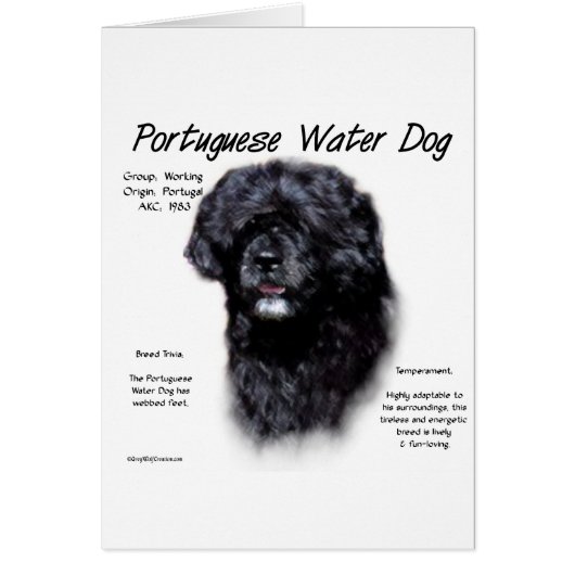 Portuguese Water Dog History Design (Front)
