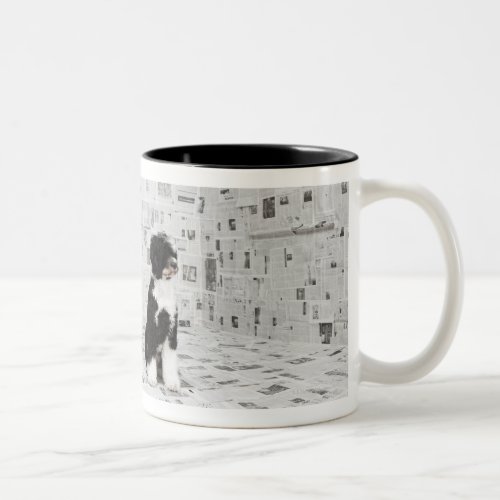 Portuguese Water Dog in room covered in Two_Tone Coffee Mug