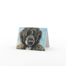 Portuguese Water Dog Original Art Notecard