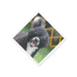 Portuguese Water Dog Paper Napkins