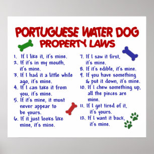 PORTUGUESE WATER DOG PL2 POSTER