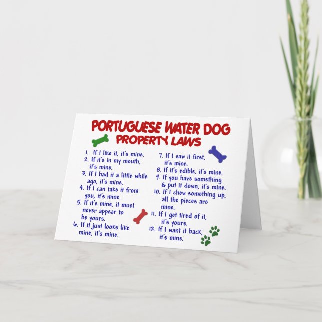 PORTUGUESE WATER DOG Property Laws 2 Card (Front)