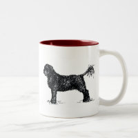 Portuguese Water Dog