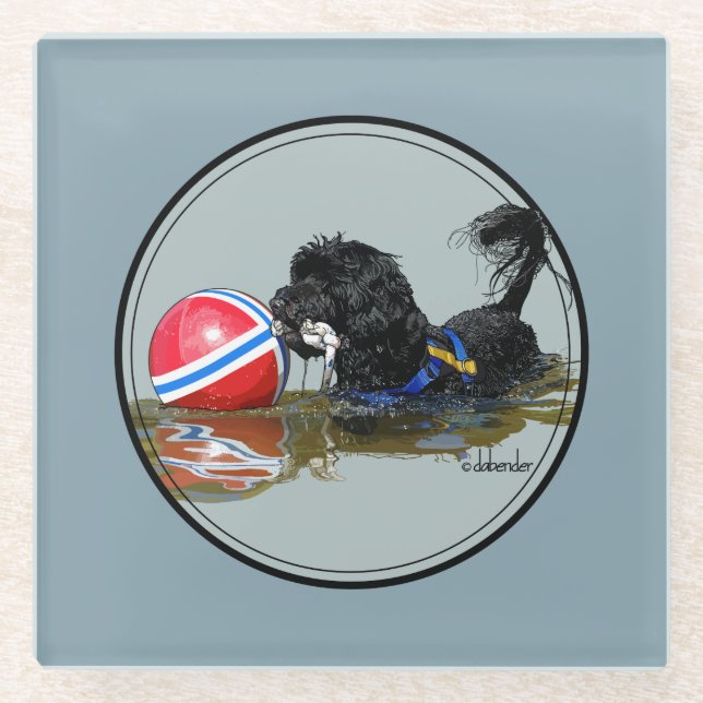 Portuguese Water Dog with Buoy Ball 2 Glass Coaster (Front)