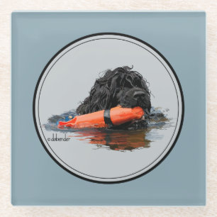 Portuguese Water Dog with Orange Bumper Glass Coaster