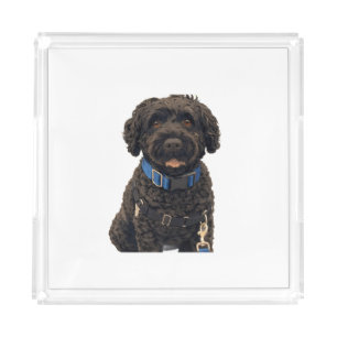 Portuguese Water Dogs Anime Anemi Acrylic Tray