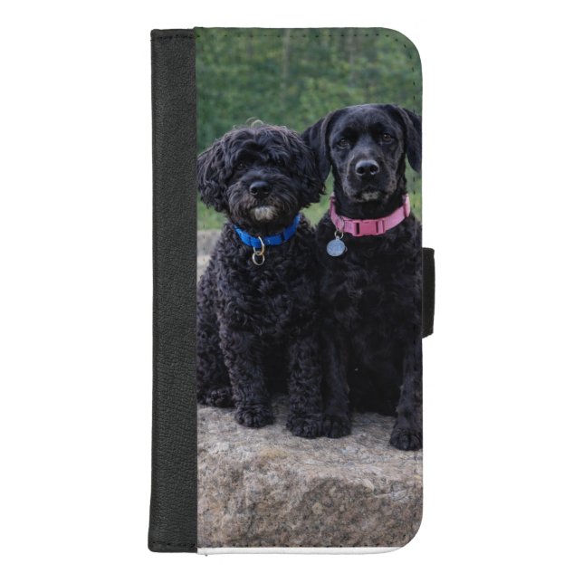 Portuguese Water Dogs Phone Wallet Case (Front)