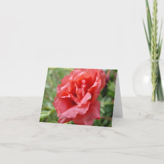Portulaca notecard