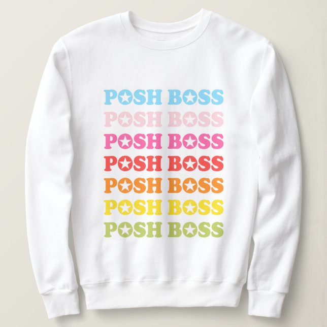 Posh Boss Star Studded Rainbow Sweater (Design Front)