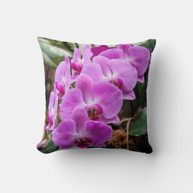 Posh Purple Orchids Throw Pillow (Front)