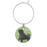 Posing Affenpinscher Wine Charm