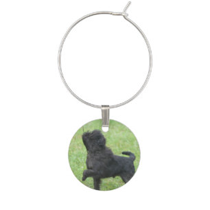 Posing Affenpinscher Wine Charm