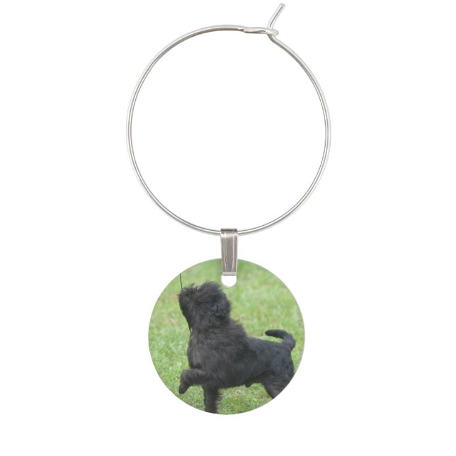 Posing Affenpinscher Wine Charm (Front)