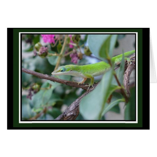 Posing Anole Card (Front Horizontal)