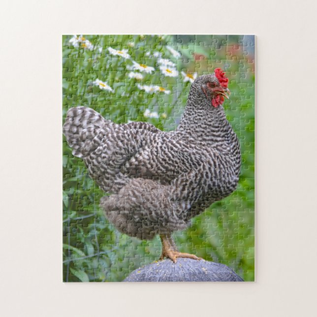 Posing Chicken Puzzle (Vertical)