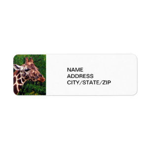 POSING GIRAFFE ADDRESS LABEL