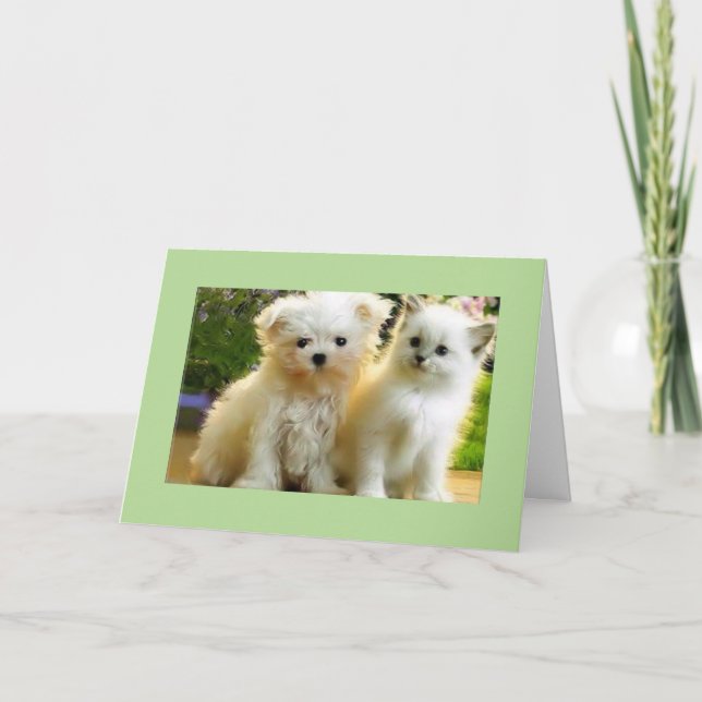 POSING JUST* FOR YOUR BIRTHDAY CARD (Front)